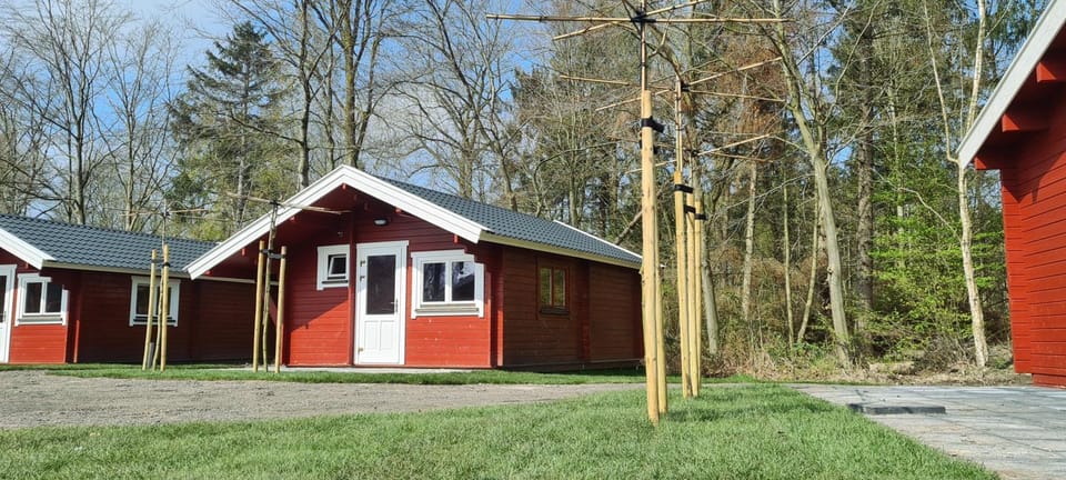 Property building, Garden view