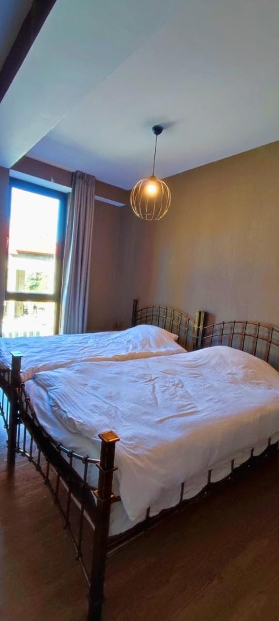 Cozy Flat in Bakuriani Apartment in Georgia