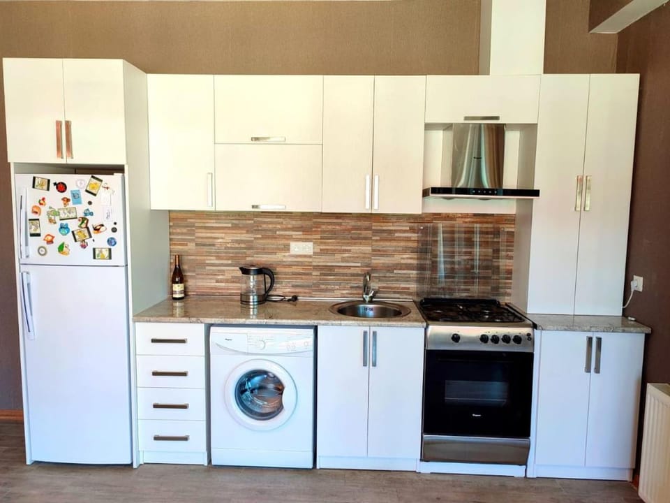 Cozy Flat in Bakuriani Apartment in Georgia