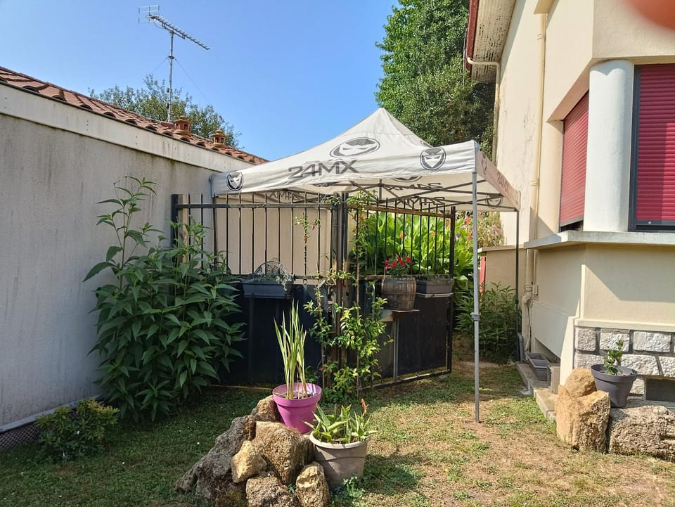 Garden view