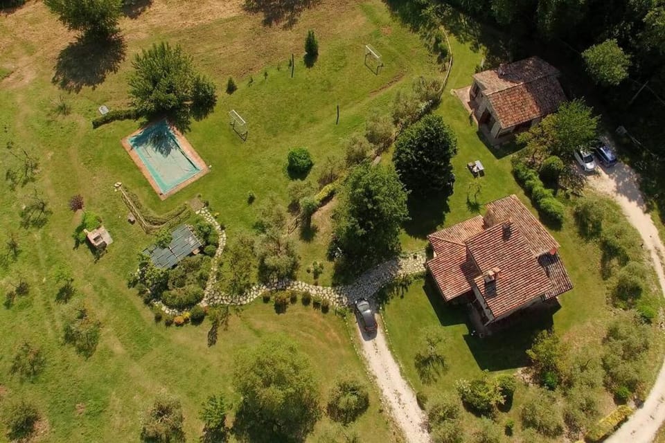 Bird's eye view, Garden, Garden view