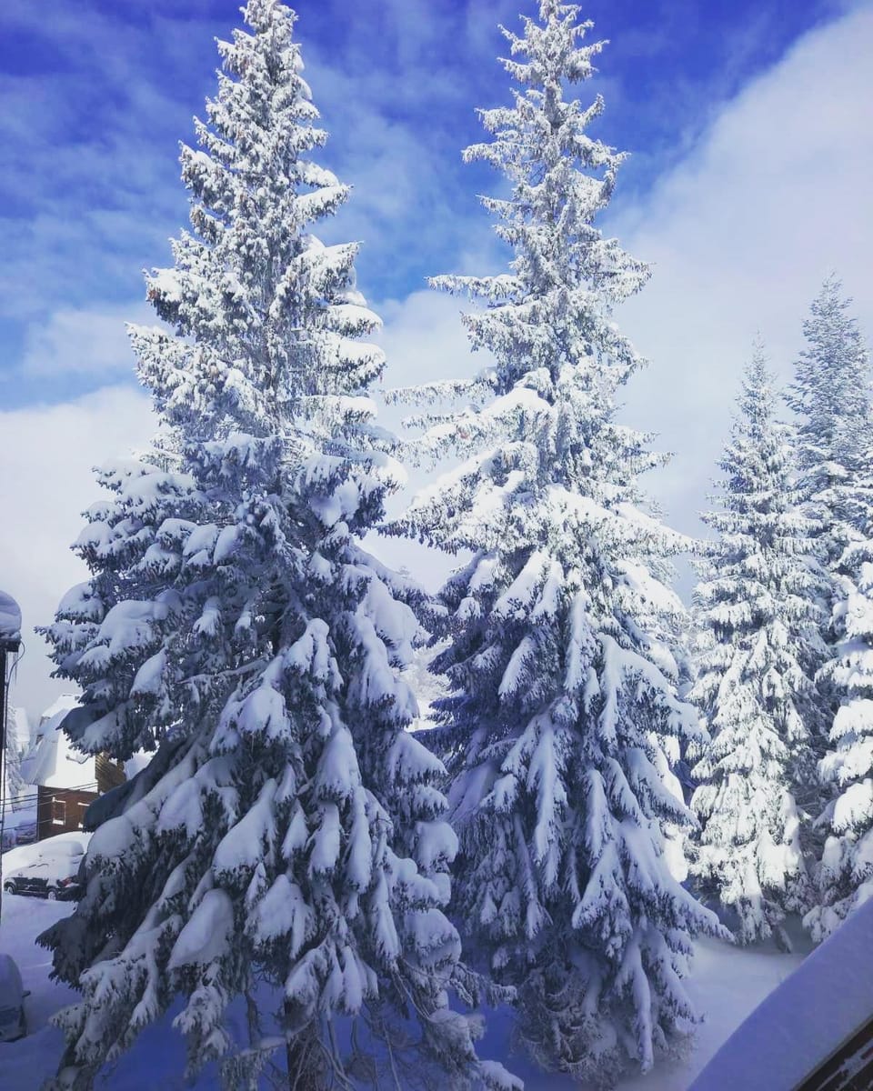 Neighbourhood, Natural landscape, Winter