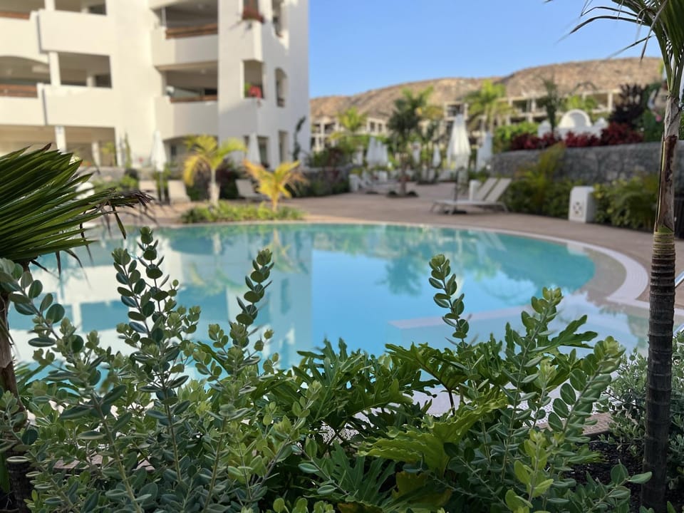 Patio, Garden, Garden view