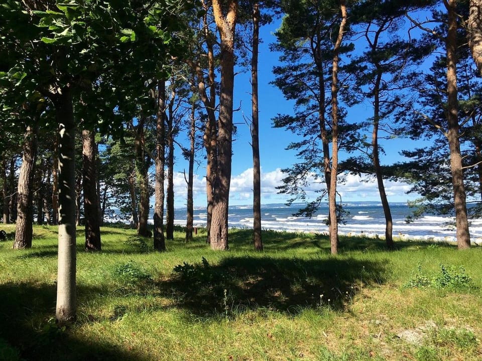 Blue Holiday Apartment in West Pomeranian Voivodeship, Poland