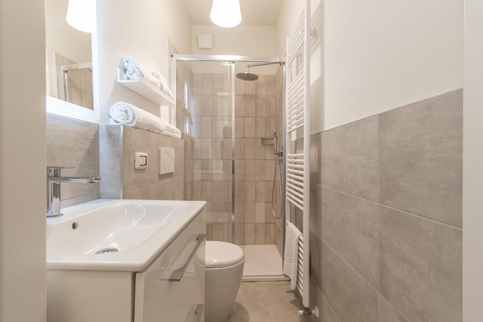 Shower, Toilet, Bathroom, towels