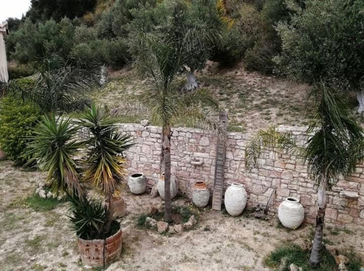 Garden, Garden view