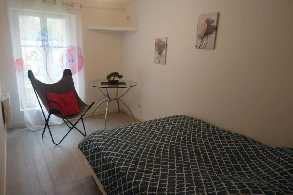 Zoo Zen 6 pers, au coeur de St Aignan Apartment in Centre-Val de Loire
