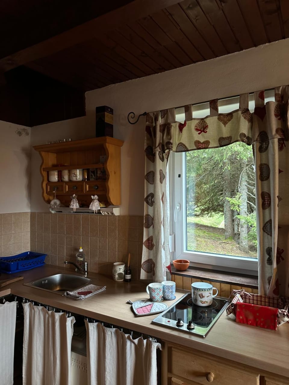 Kitchen or kitchenette, dishwasher, stove