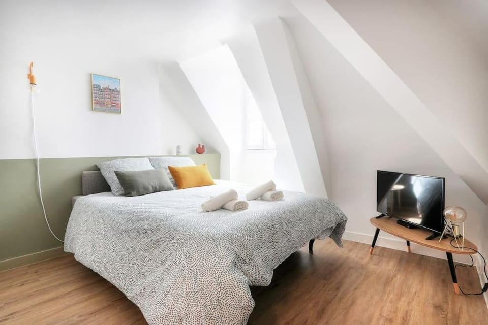 La Canopée - joli studio en hypercentre de Rennes Apartment in Rennes
