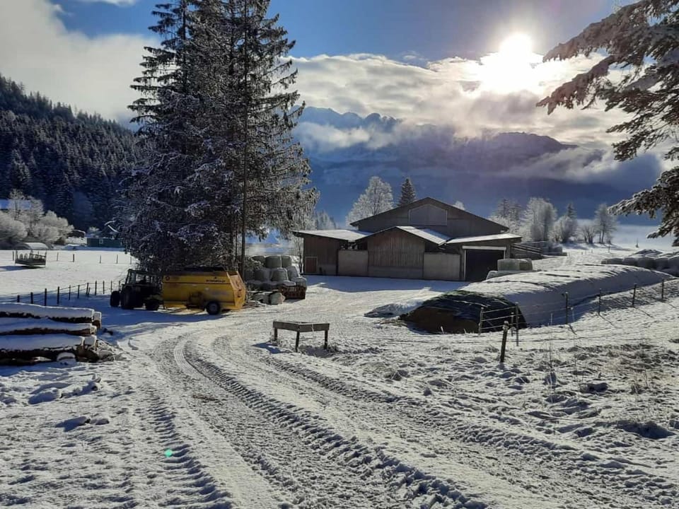 Natural landscape, Winter