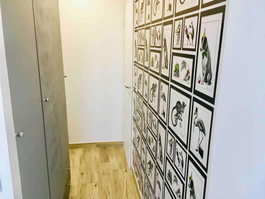 T3 VUE MER A 20 mètres de la PLAGE ANGLET BIARRITZ Apartment in Anglet