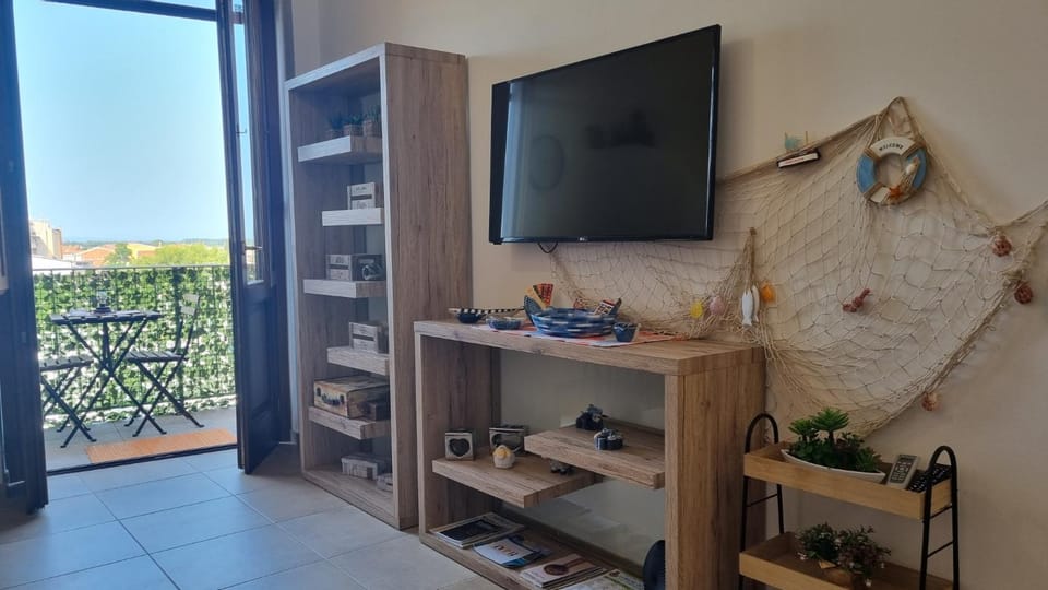 TV and multimedia