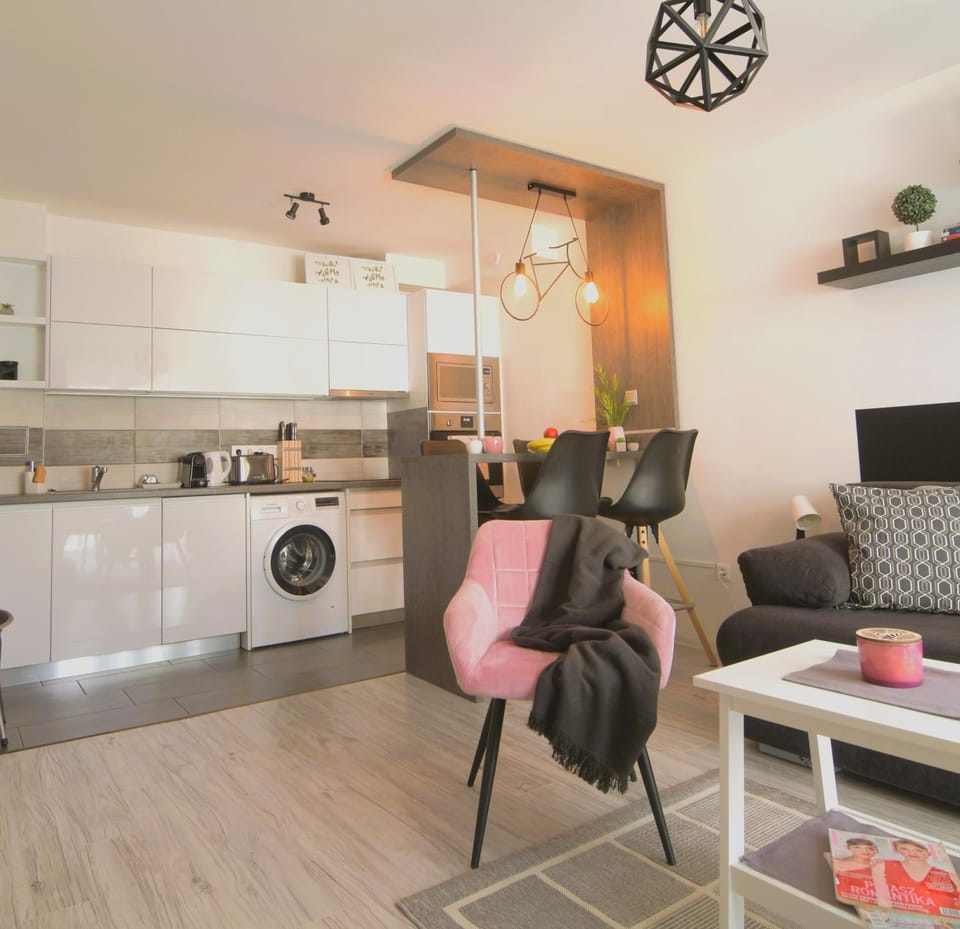 Tisza River Apartman Apartment in Szeged