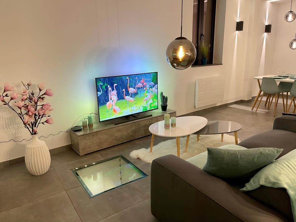 Appartement atypique : Le Puits Apartment in Rhineland-Palatinate