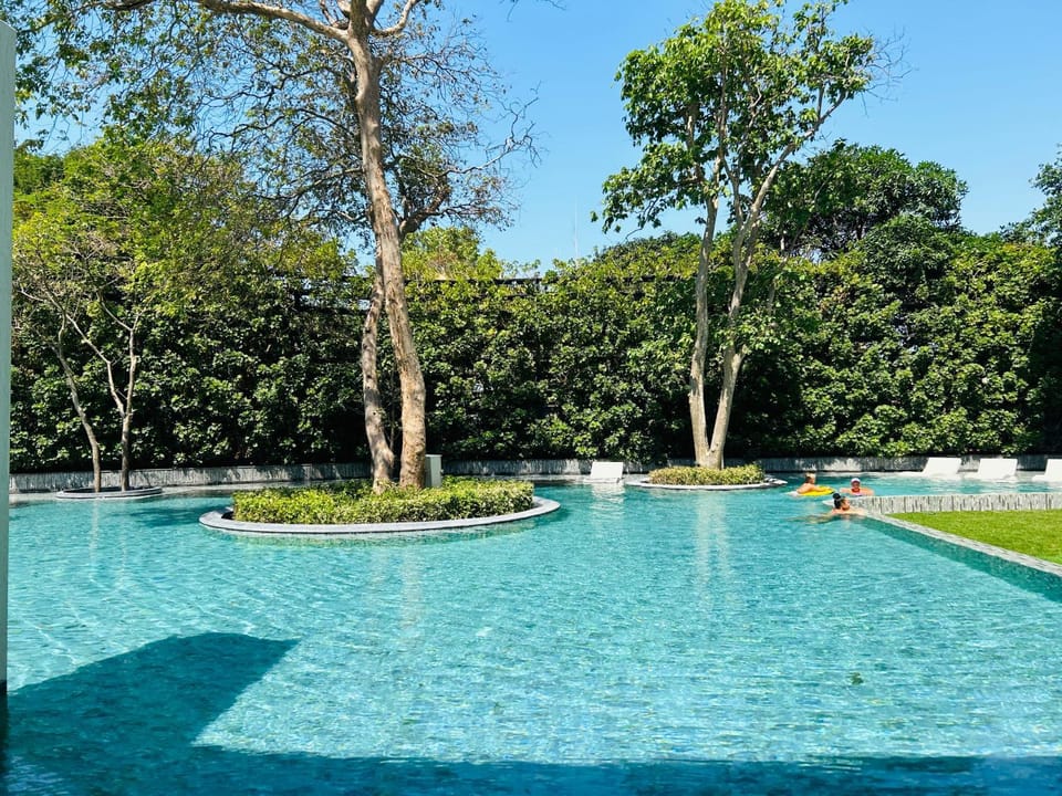 Day, Natural landscape, Garden, Pool view, Swimming pool
