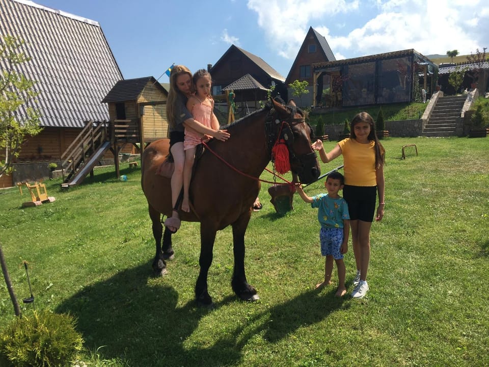 Vila Deniri Villa in Zlatibor