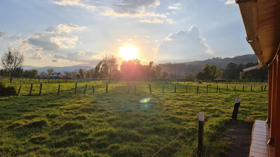 Natural landscape, Garden, Garden, Sunrise