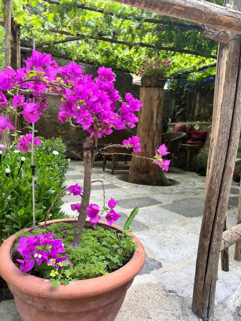 Garden, Garden view