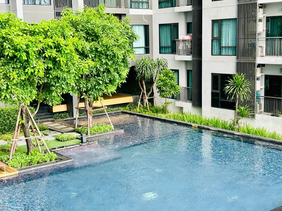 Day, Garden, Pool view, Swimming pool