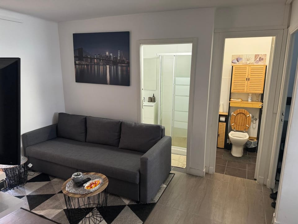 Toilet, Bathroom, Living room, Seating area