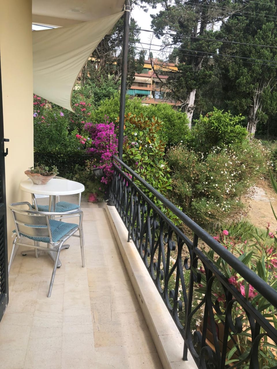 MeadowView Spacious renovated ground floor studio Apartment in Corfu