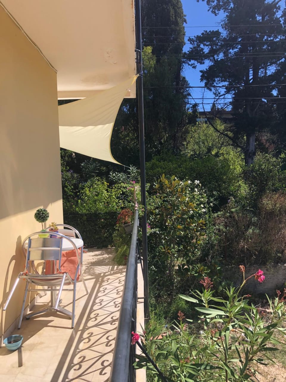 MeadowView Spacious renovated ground floor studio Apartment in Corfu