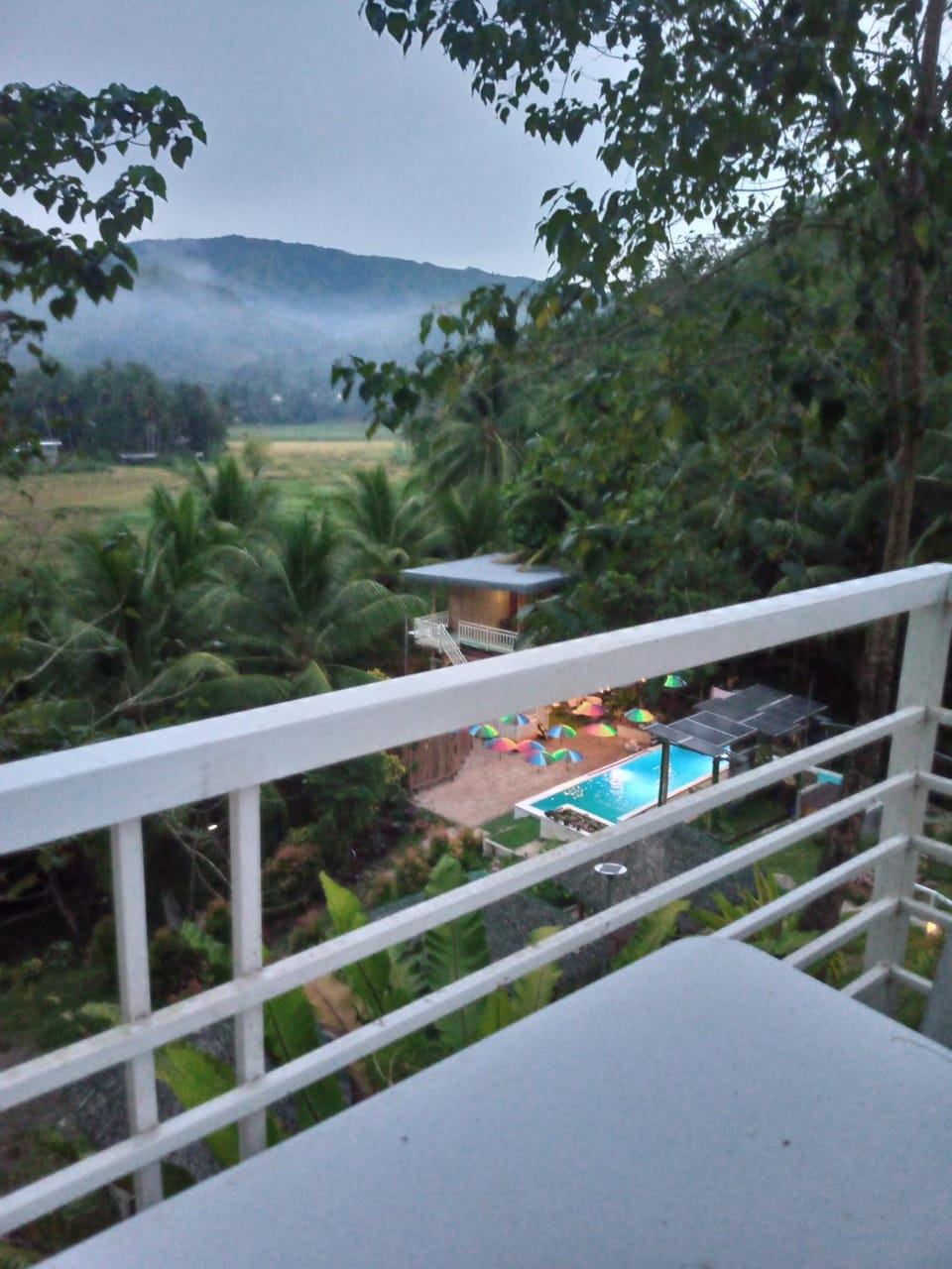 View (from property/room)