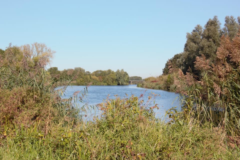 Natural landscape, River view