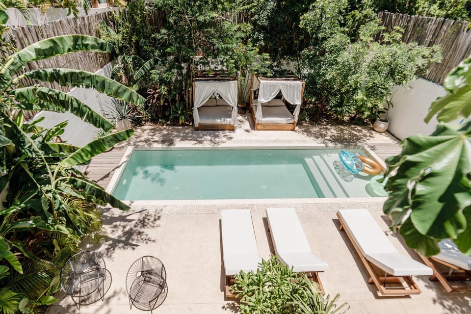 Patio, Day, Natural landscape, Garden, Garden view, Pool view, Swimming pool, sunbed
