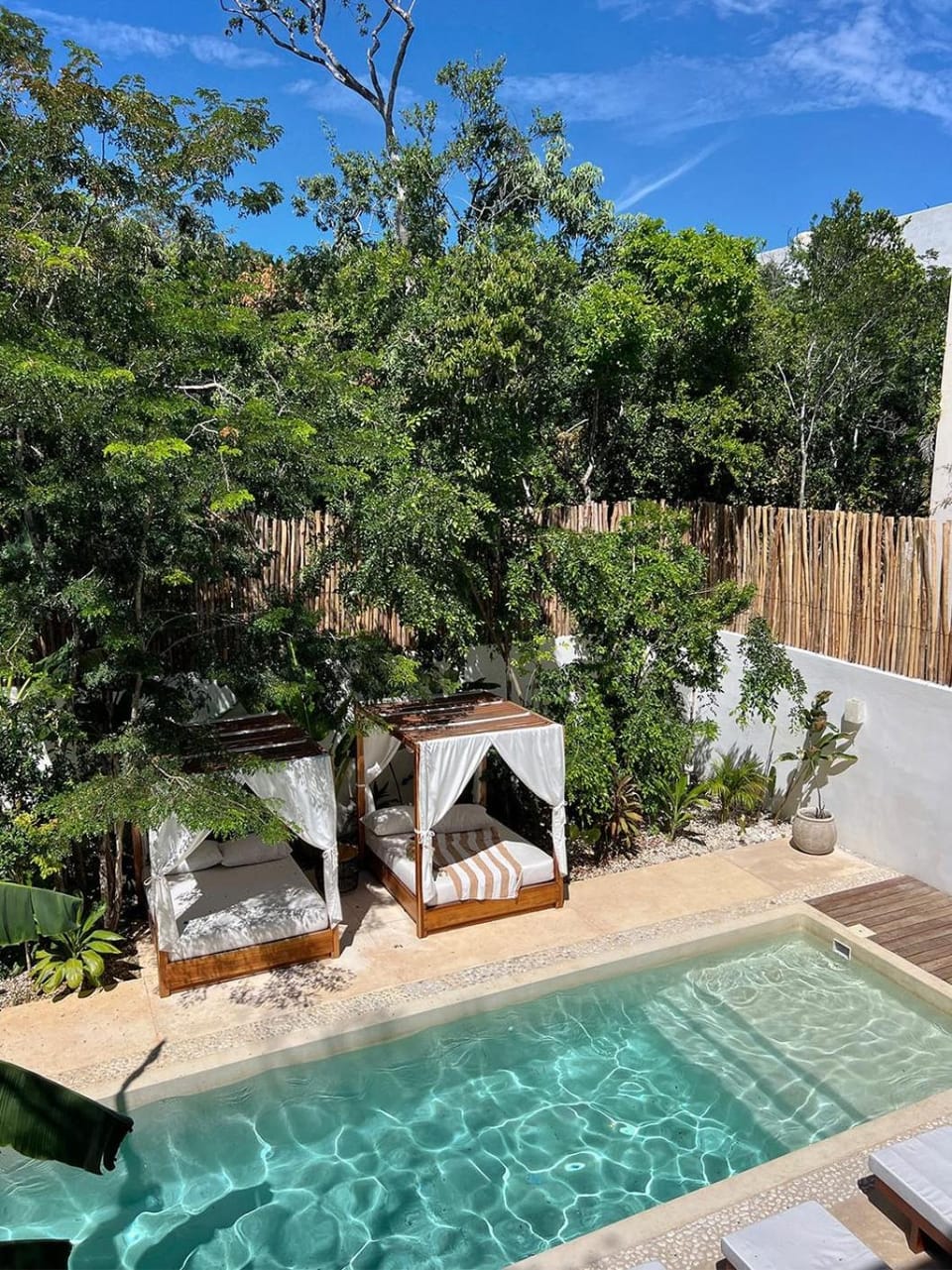 Day, Garden, Swimming pool, sunbed