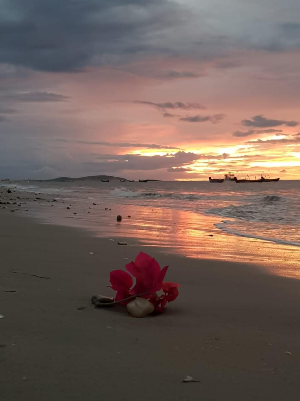Day, Natural landscape, Beach, Sea view, Sunrise, Sunset
