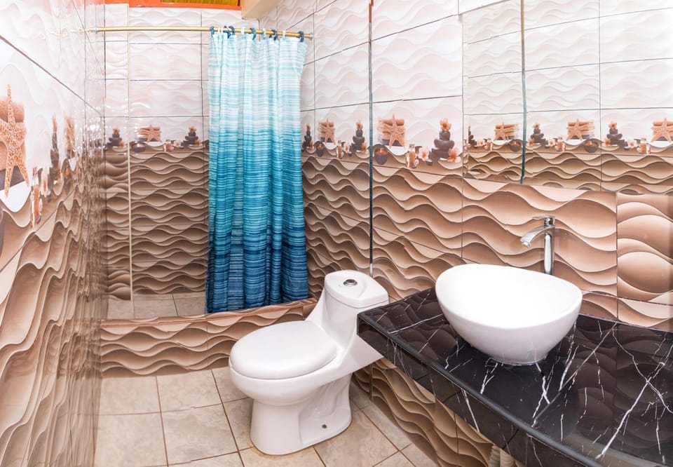 Shower, Toilet, Bathroom, bidet