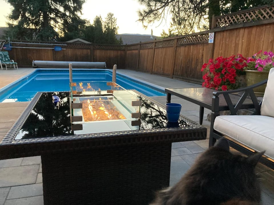 Patio, Day, Swimming pool