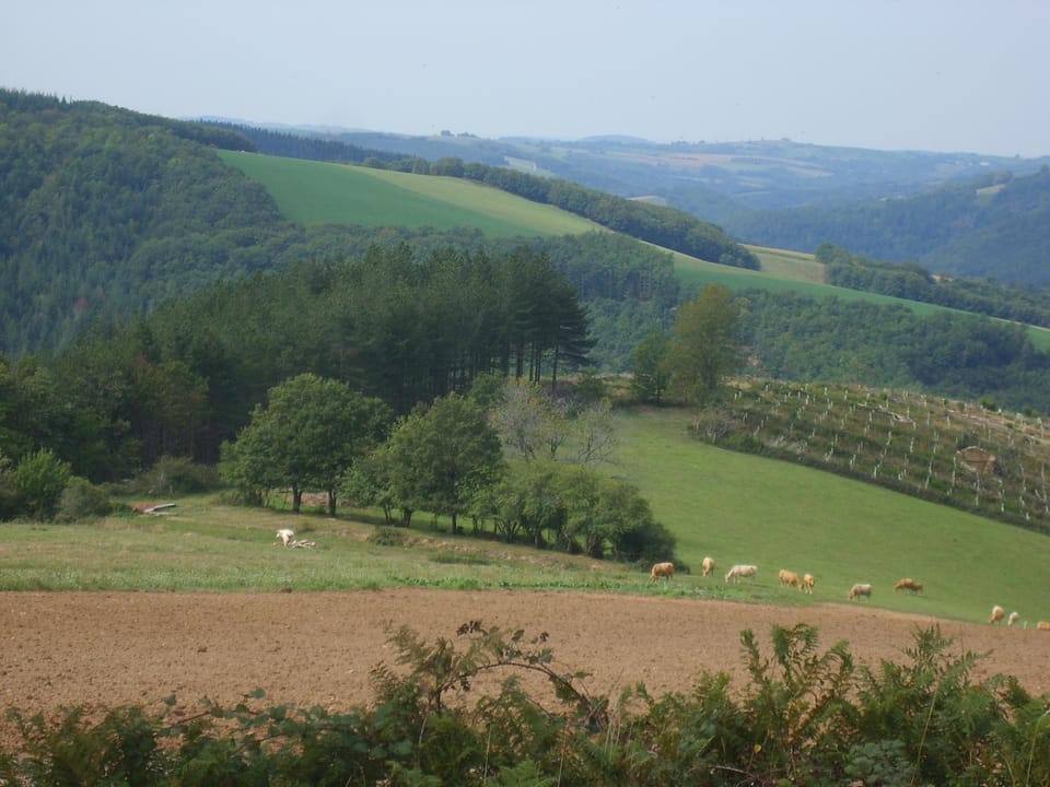 Natural landscape, Garden, Mountain view