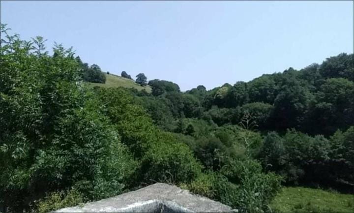 Nearby landmark, Natural landscape, Garden, Mountain view