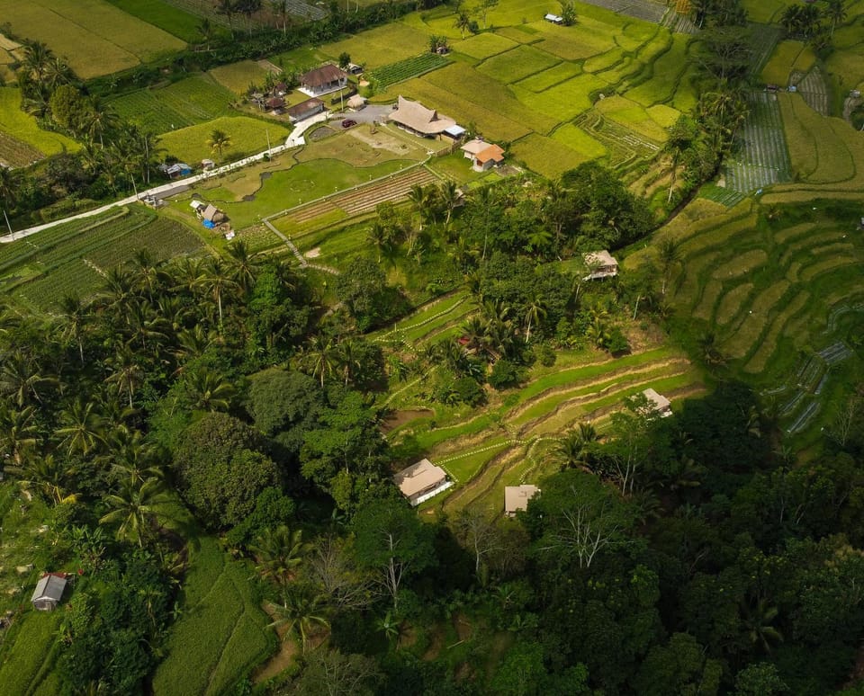 Property building, Natural landscape, Bird's eye view