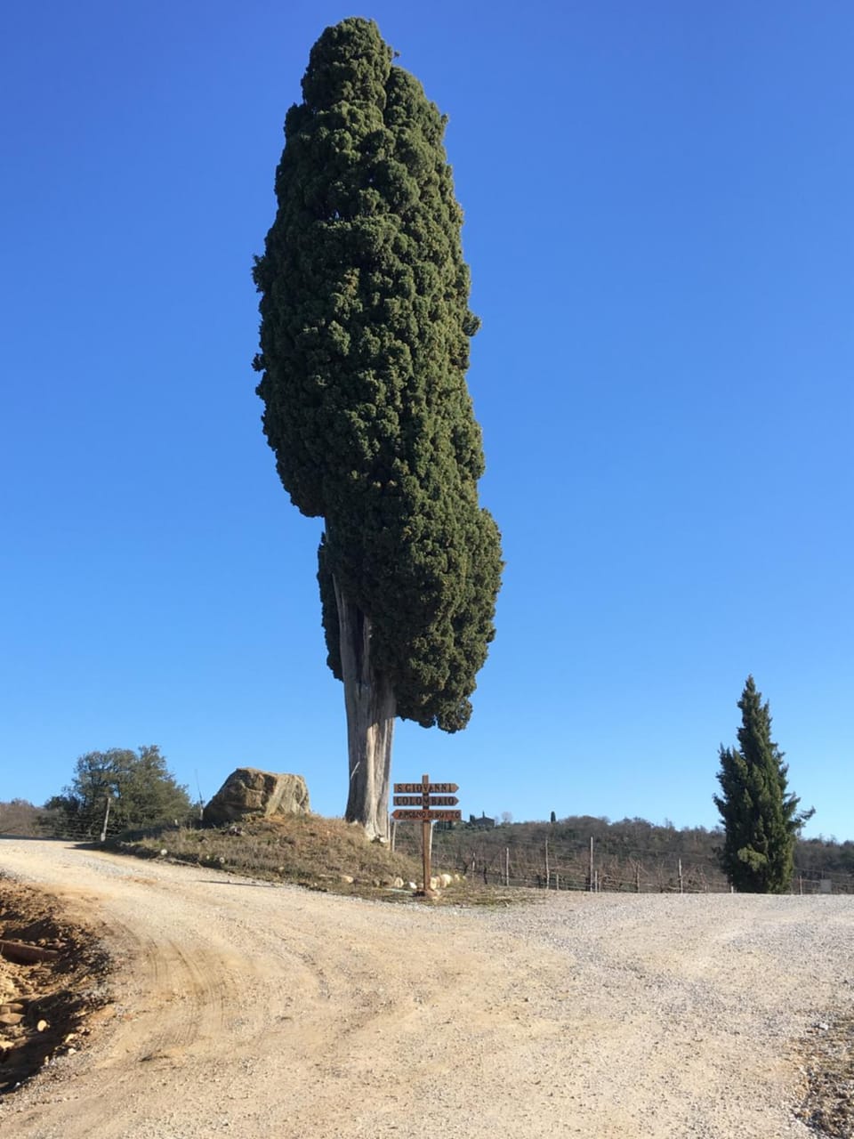 Casa Rossella, incantevole casa con piscina in Tenuta storica del Chianti House in Tuscany