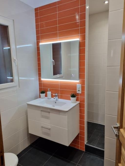 L'APPART'JEANNIN HYPER CENTRE Apartment in Dijon