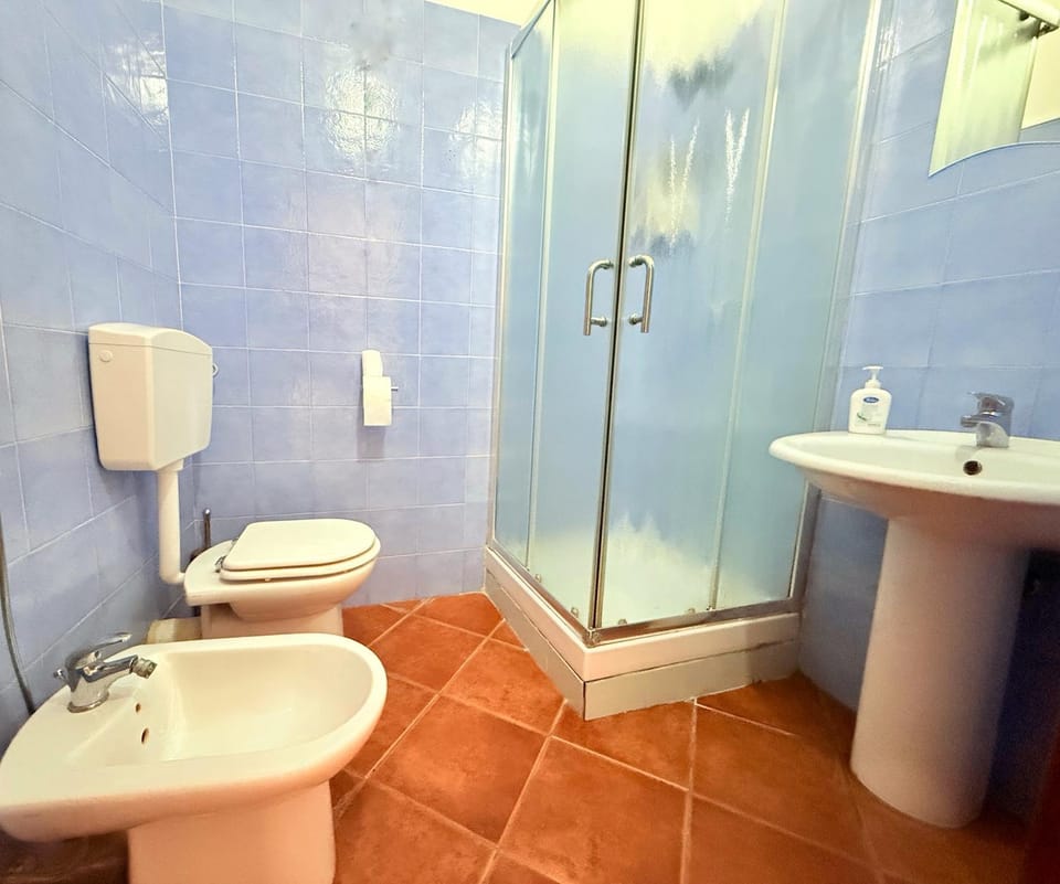 Shower, Toilet, Bathroom, bidet