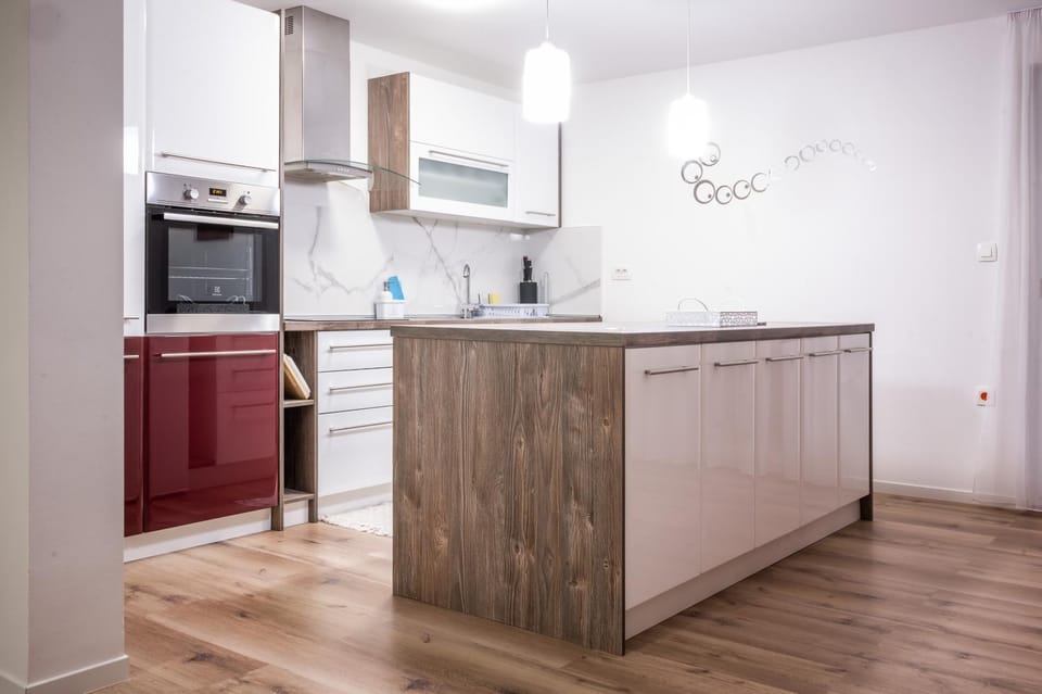 Kitchen or kitchenette, dishwasher, minibar, pet friendly, stove