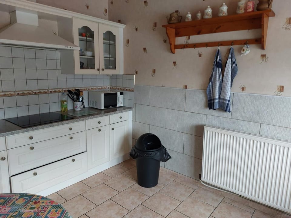 Kitchen or kitchenette, dishwasher, stove