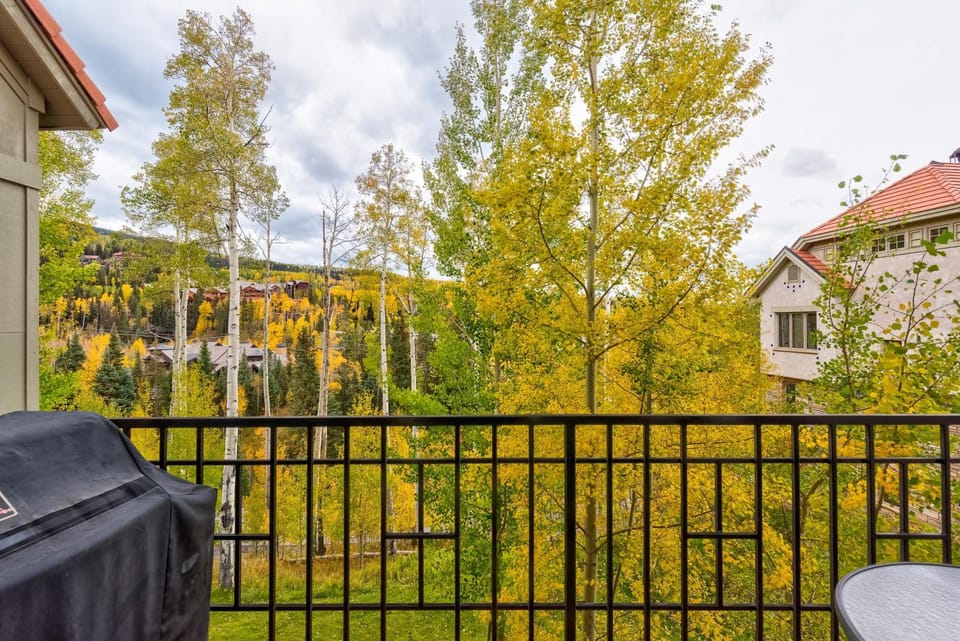 Village Escape by Alpine Lodging Telluride House in Telluride