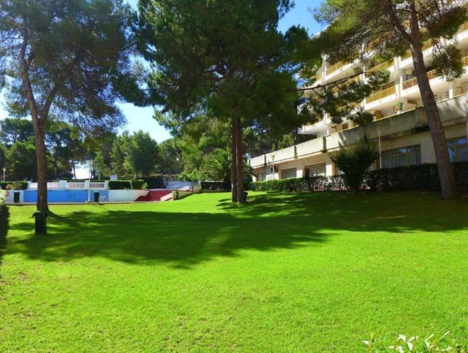 Garden, Garden