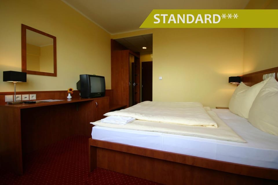 Bed, TV and multimedia, Photo of the whole room