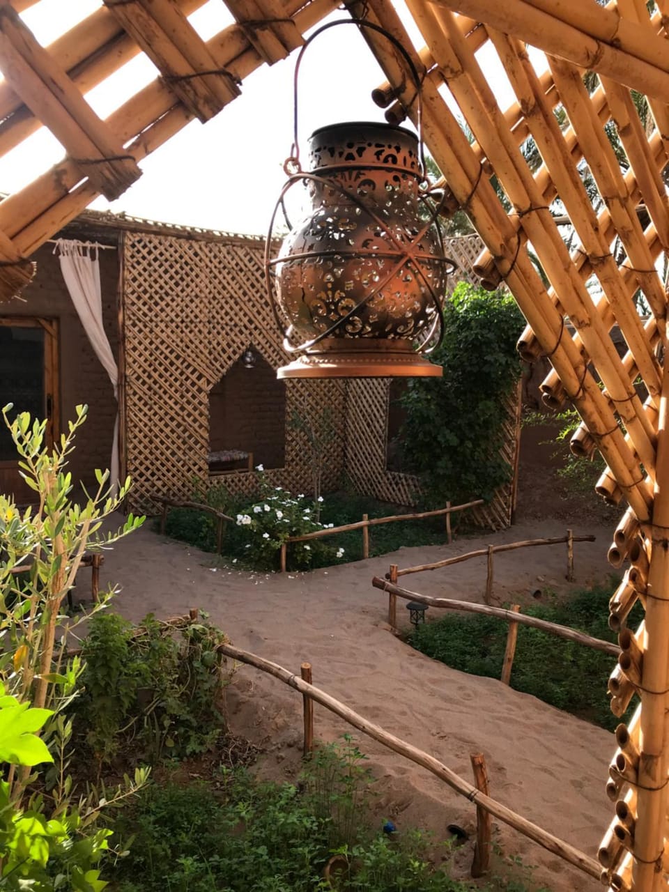 Day, Garden, Garden view