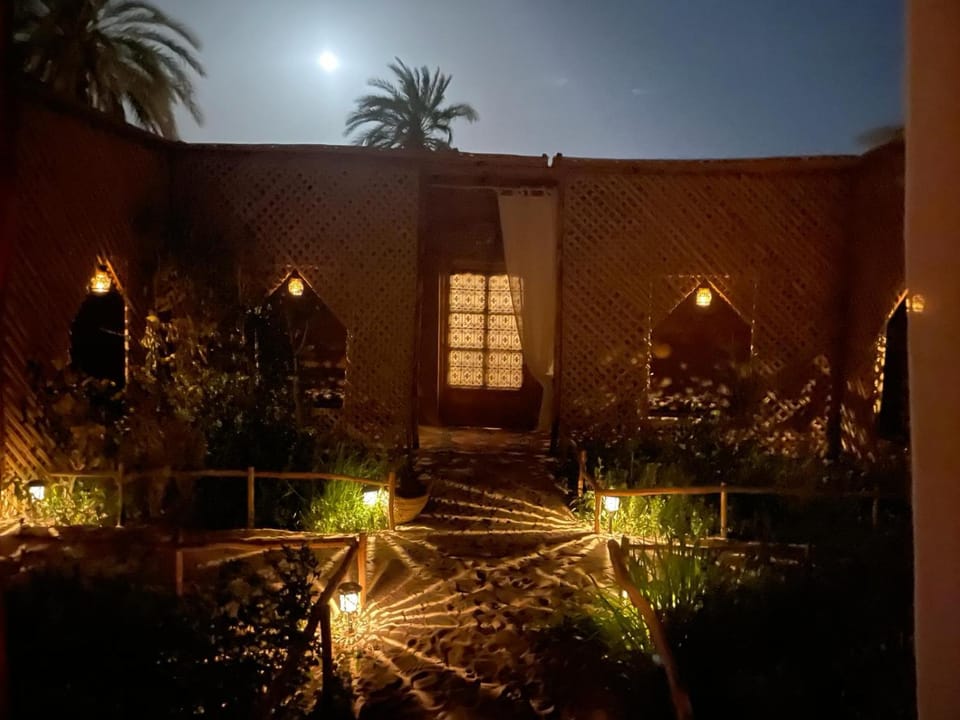 Night, Garden, Garden view