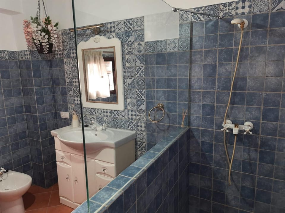 Shower, Toilet, Bathroom, bidet