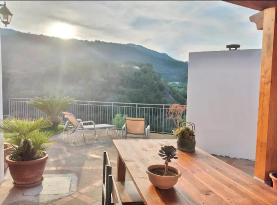 Patio, Day, Natural landscape