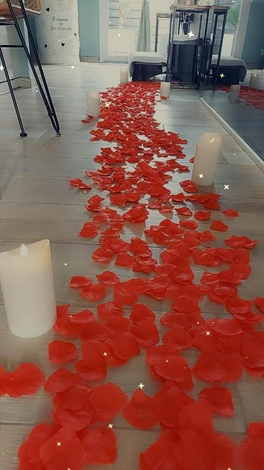 Au Spa d'eau pâle Apartment in Hauts-de-France