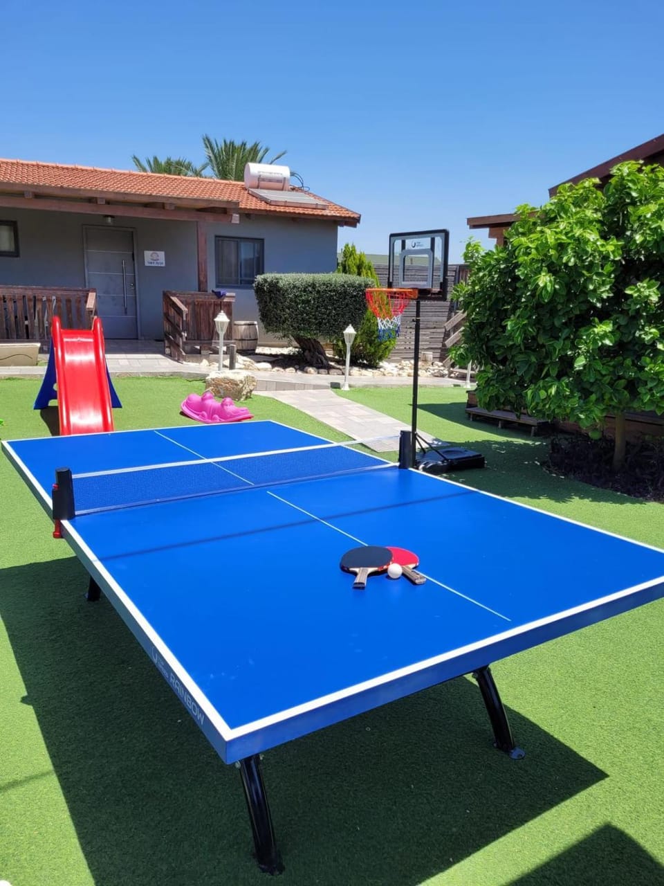 Table tennis